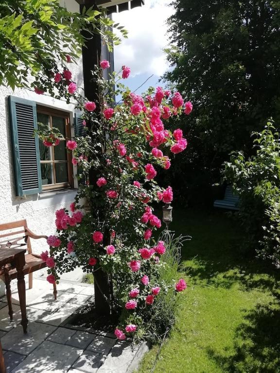 'Sissi' Ein Zaubehaftes Apartement Im Modernen Landhausstil Oberammergau Bagian luar foto